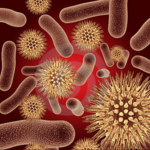 Resultado de imagen de bacterias_geometricas.jpg