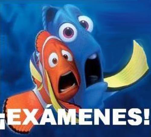 examenes.jpg