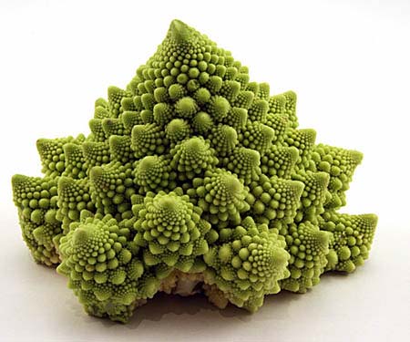 romanesco.jpg